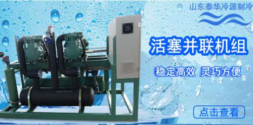 甘肅比澤爾半封閉活塞式二並聯壓縮機組